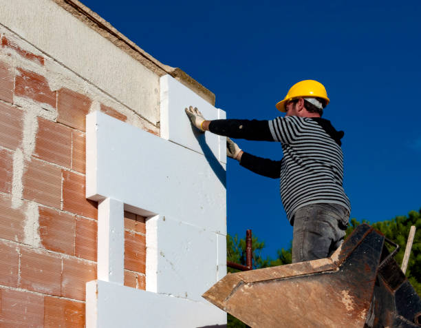 Best Insulation Removal  in Salem, NC