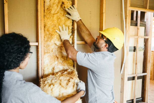 Best Wall Insulation Contractor  in Salem, NC