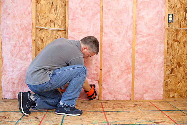Best Cellulose Insulation  in Salem, NC