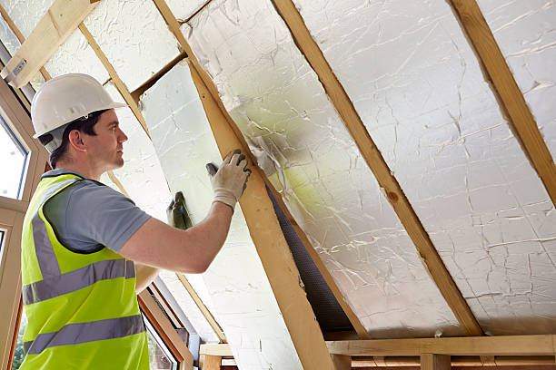 Best Professional Insulation Contractor  in Salem, NC